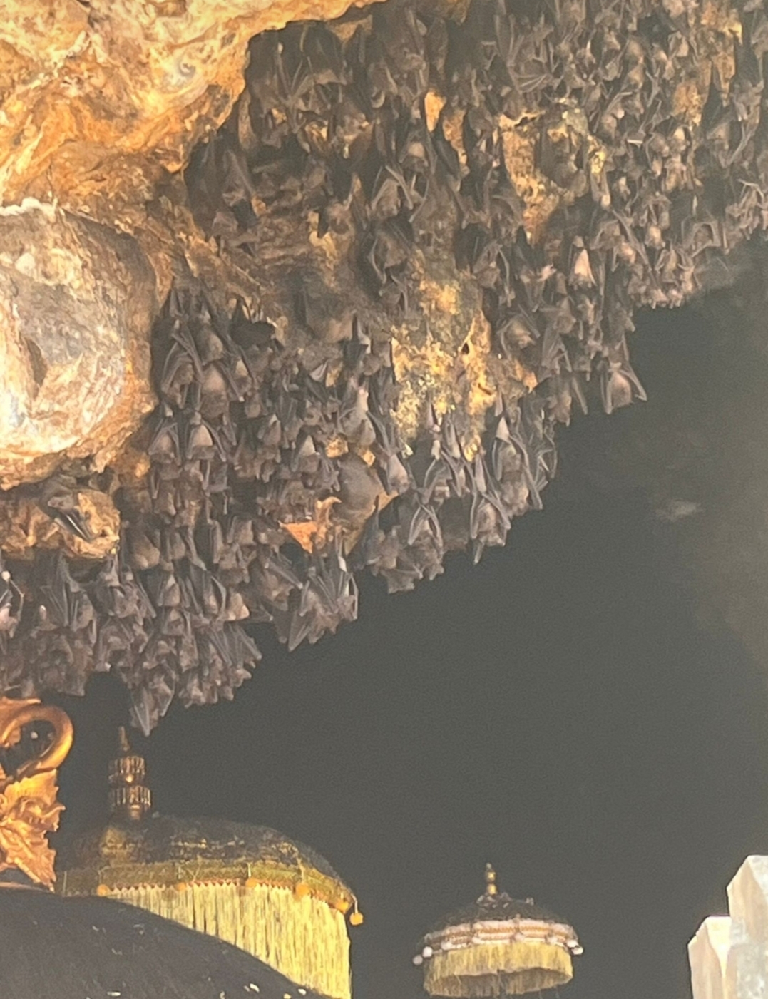 Fledermaushöhle Goa Lawah