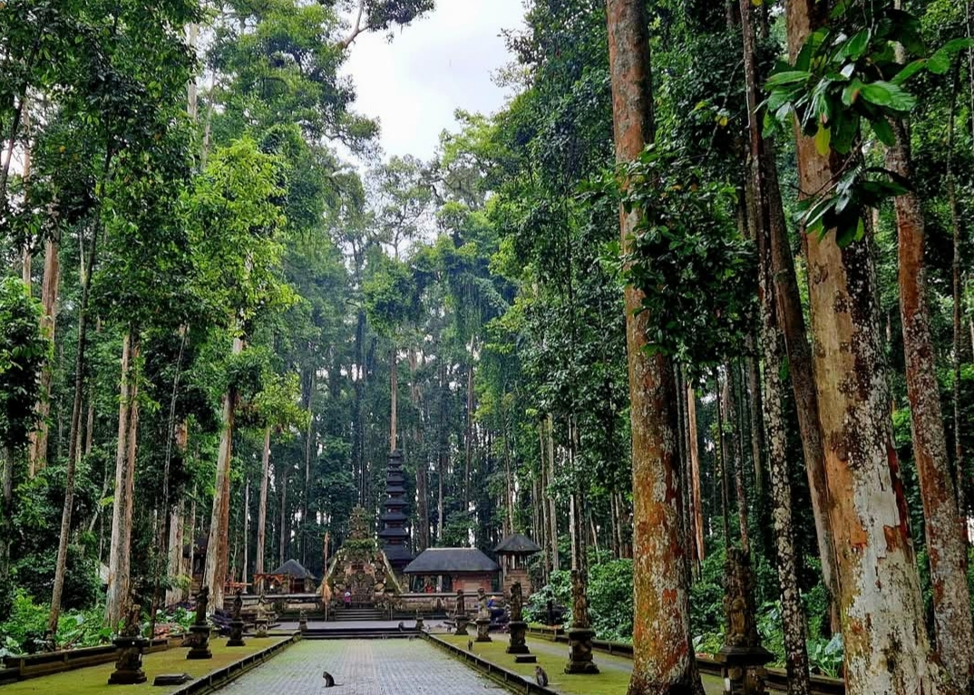 Sangeh Affenwald